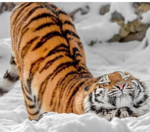 Упражнения